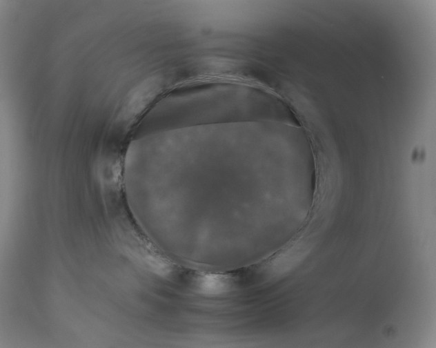 X0000112930336200910051137