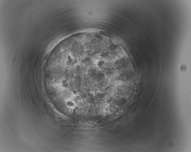 X0000112930337200910051136