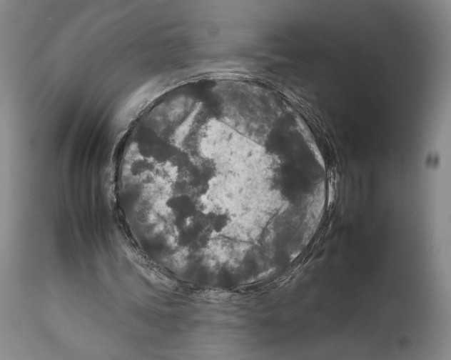 X0000112930339200910051136