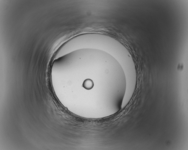 X0000112930340200910051136