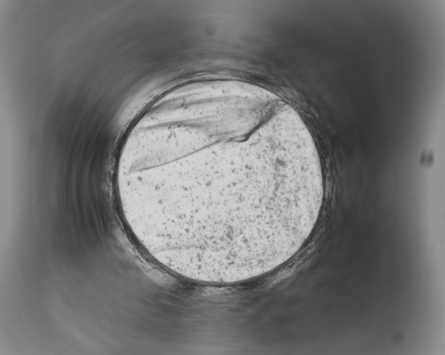 X0000112930341200910051136
