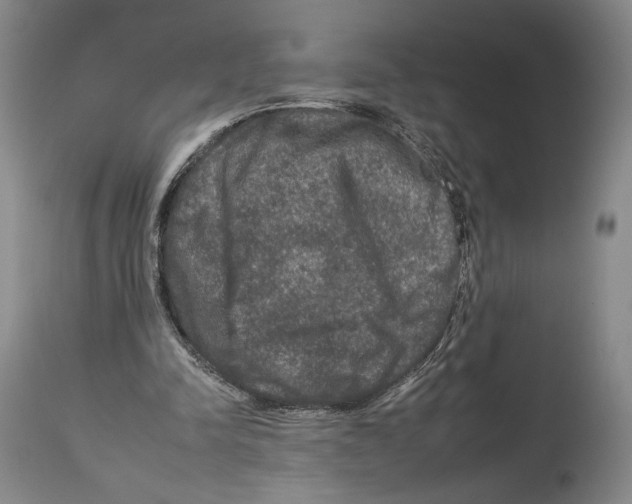 X0000112930342200910051136