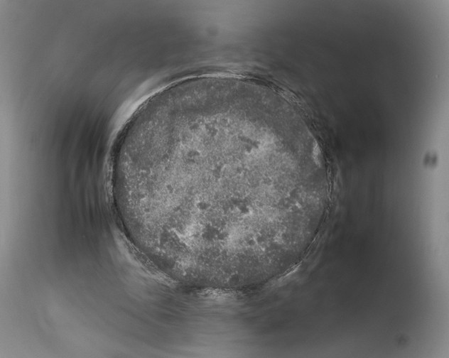 X0000112930343200910051136