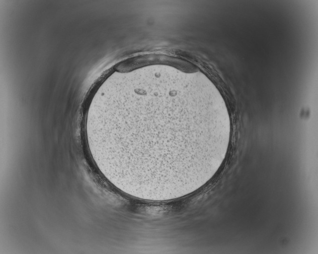 X0000112930344200910051136
