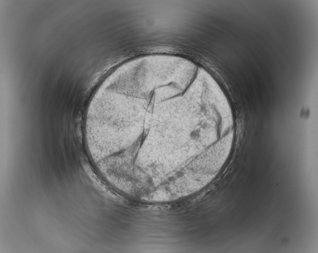X0000112930345200910051136