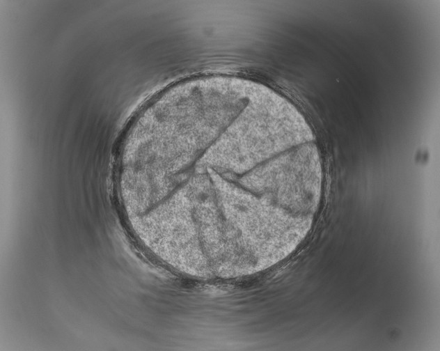 X0000112930346200910051136