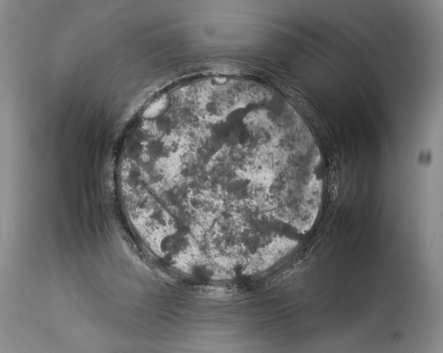 X0000112930347200910051136