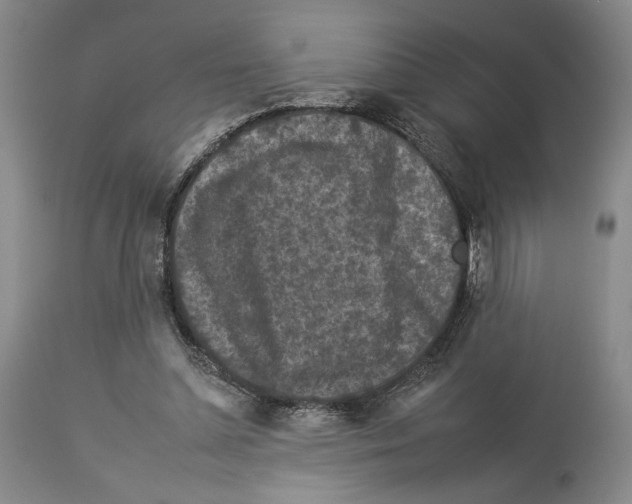 X0000112930348200910051136