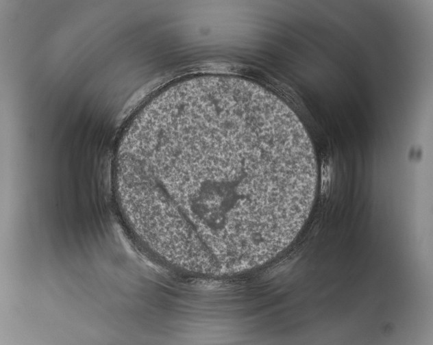 X0000112930349200910051136