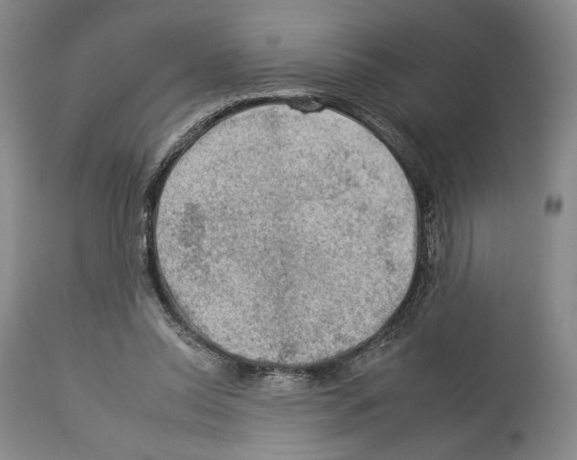 X0000112930350200910051136