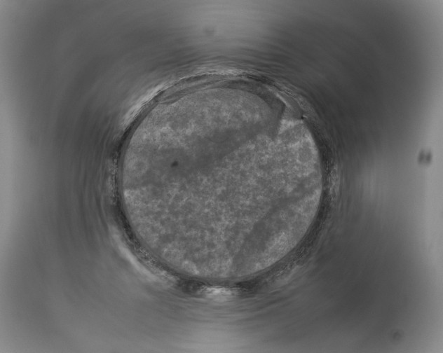 X0000112930352200910051136