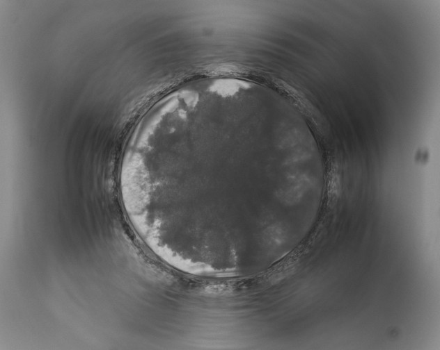 X0000112930353200910051136