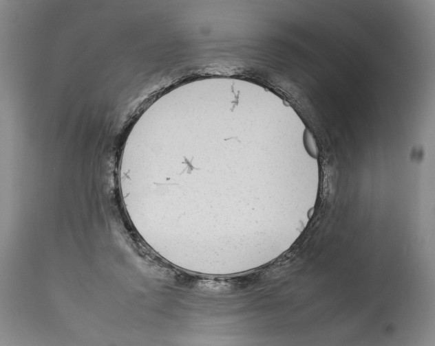 X0000112930354200910051136