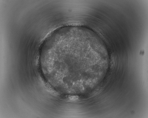 X0000112930355200910051136