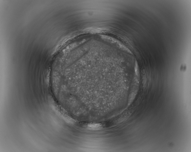X0000112930357200910051136