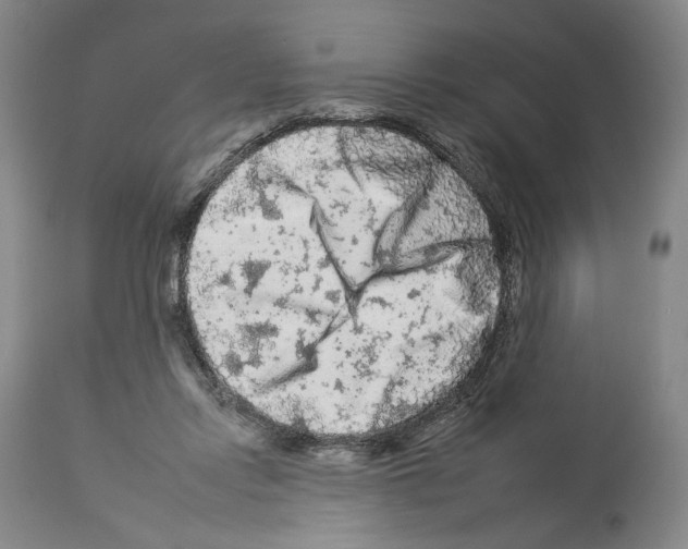 X0000112930358200910051136