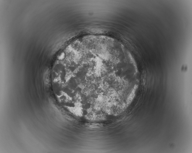X0000112930359200910051136