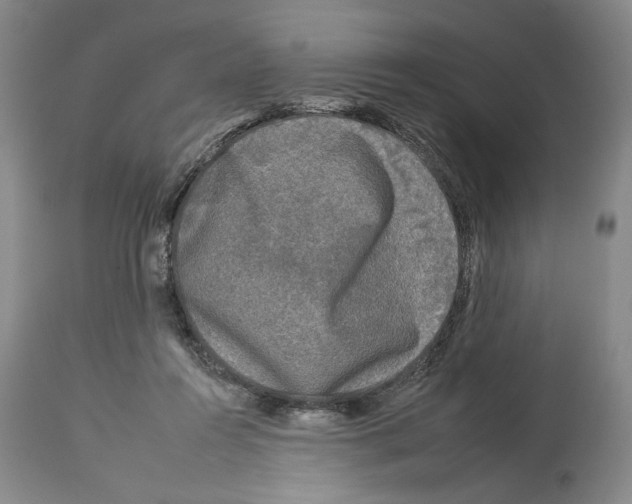 X0000112930360200910051136