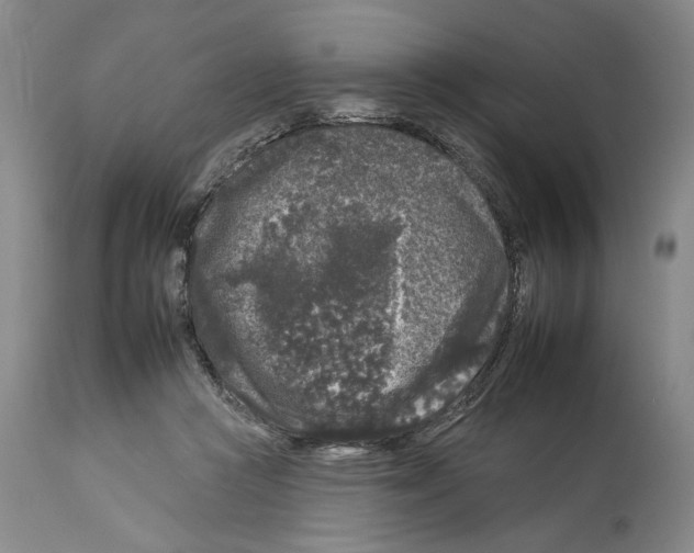 X0000112930361200910051137