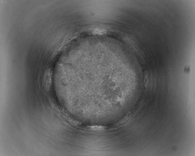 X0000112930363200910051137