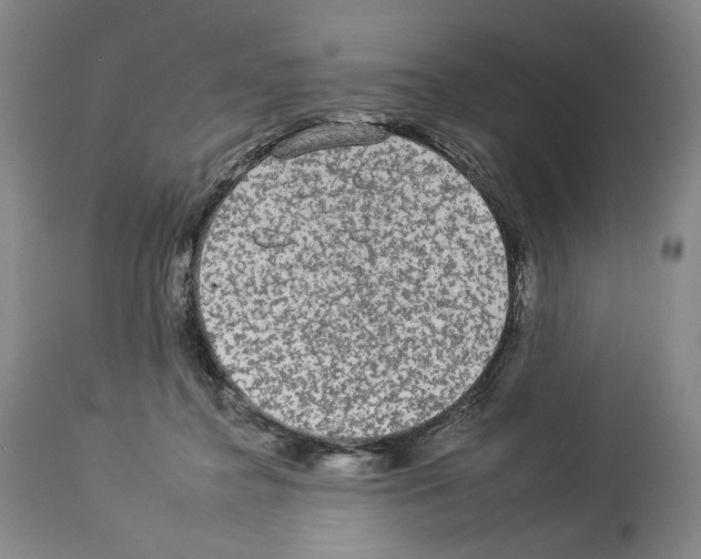 X0000112930364200910051137