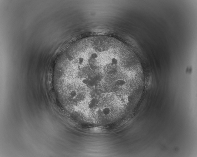 X0000112930365200910051137