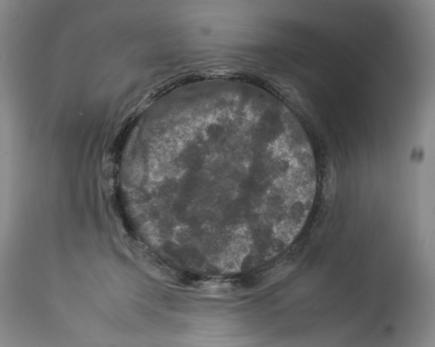 X0000112930366200910051137