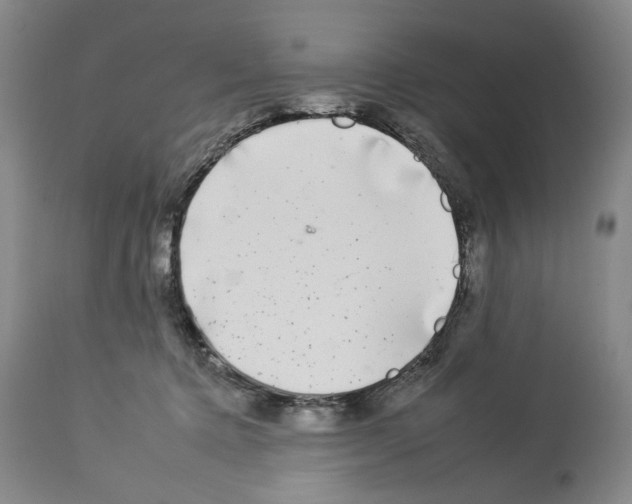 X0000112930368200910051137