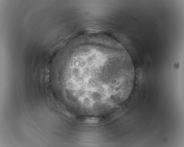 X0000112930369200910051137
