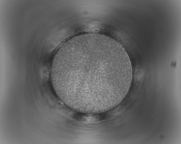 X0000112930370200910051137