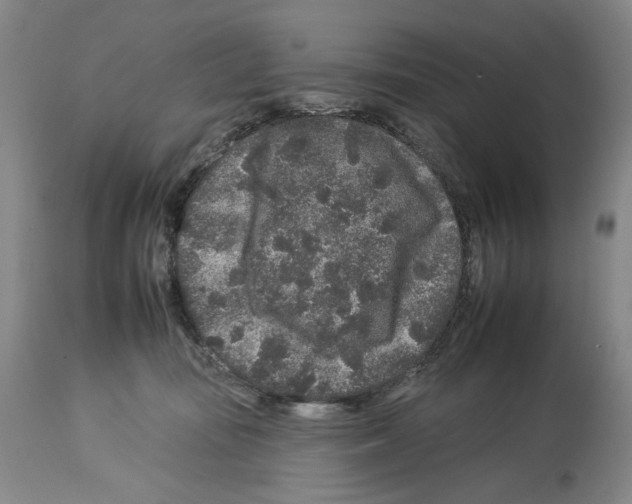 X0000112930371200910051137