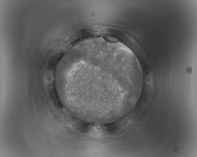 X0000112930372200910051137