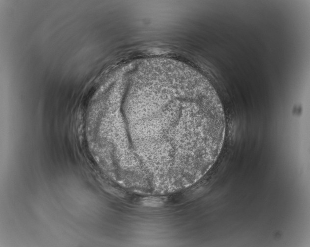 X0000112930373200910051137