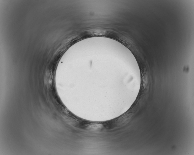 X0000112930374200910051137