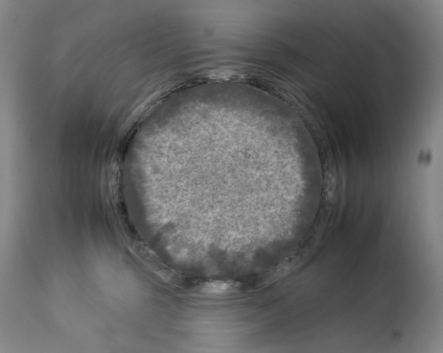 X0000112930375200910051137
