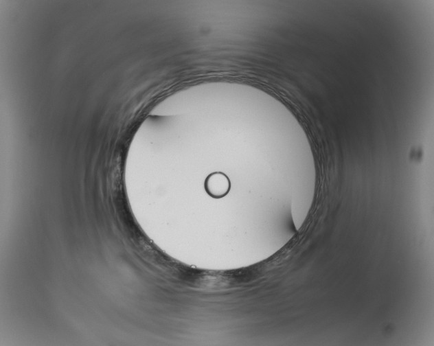 X0000112930376200910051137