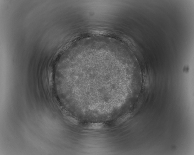 X0000112930377200910051137