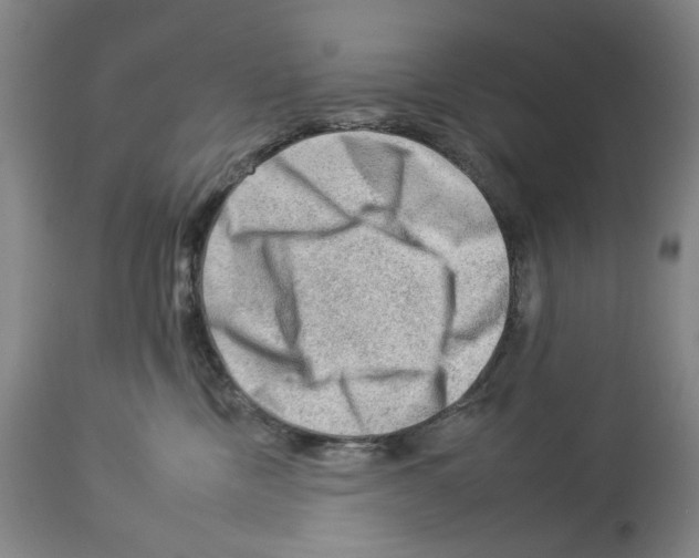 X0000112930378200910051137