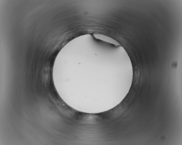 X0000112930379200910051137