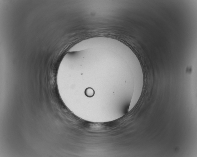 X0000112930380200910051137