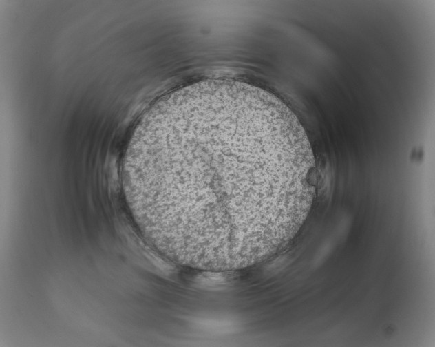 X0000112930381200910051137