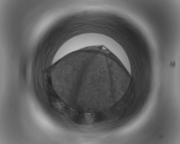 X0000112930382200910051137