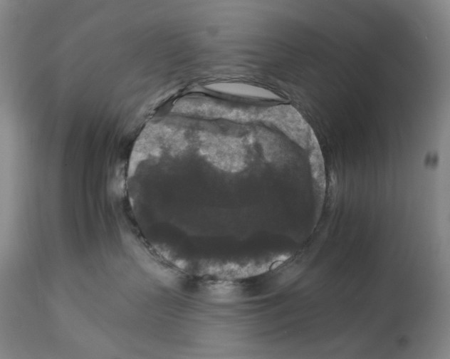 X0000112930383200910051137