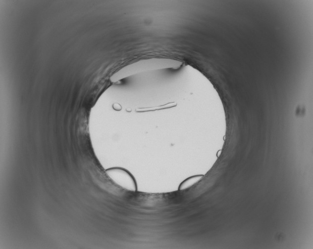 X0000112930384200910051137
