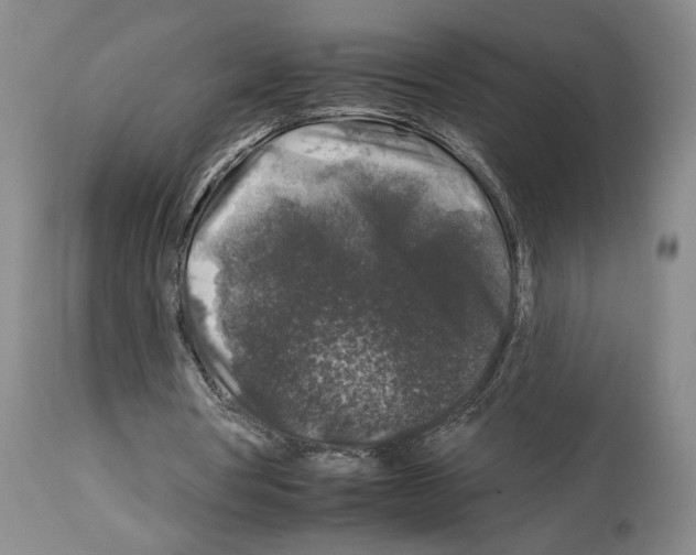 X0000112930386200910051136