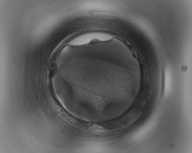 X0000112930387200910051136