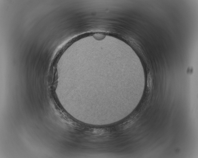X0000112930388200910051136
