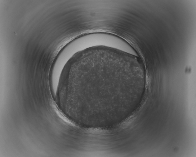 X0000112930389200910051136