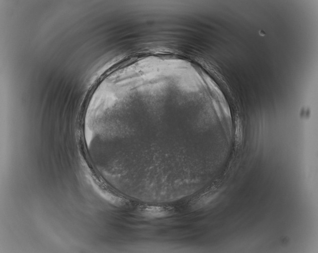 X0000112930390200910051136