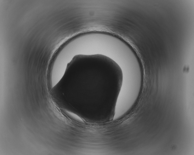 X0000112930391200910051136